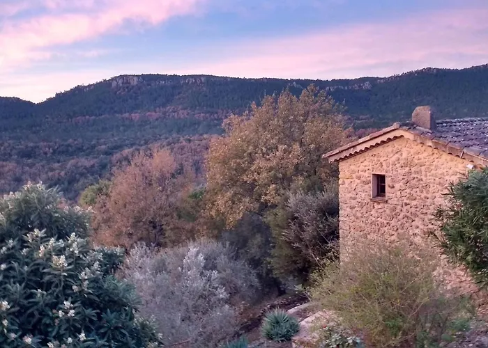 3-Bedroom House With View